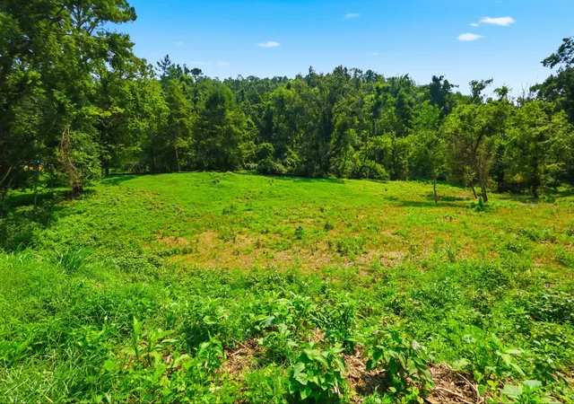1st image of 1045 Balmoral Dr, Nashville, TN 37220 | MLS# 3318970