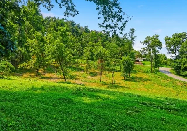 3rd image of 1045 Balmoral Dr, Nashville, TN 37220 | MLS# 3318970