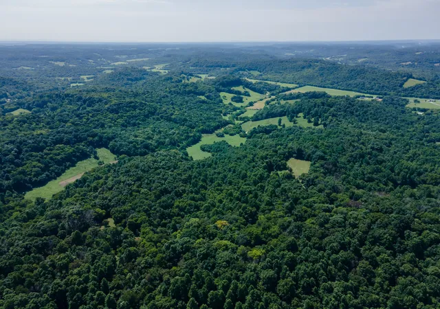 83rd image of 394 Young Hollow Rd, Pulaski, TN 38478 | MLS# 3320366