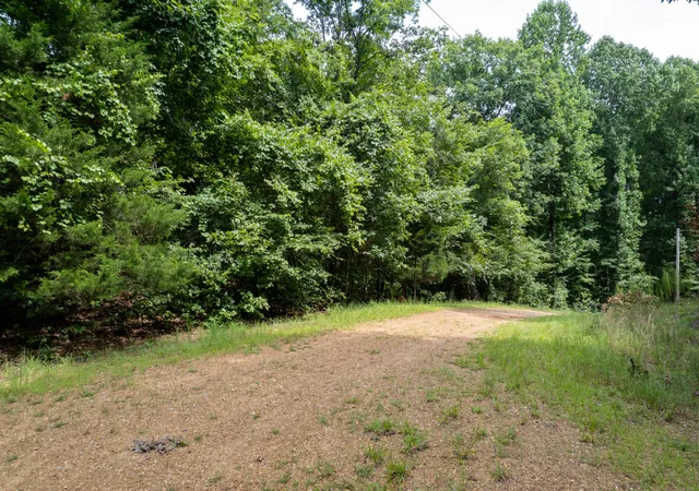 15th image of 306 Oak Dr, Saulsbury, TN 38067 | MLS# 3318967
