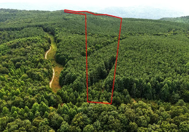 19th image of 0 Preservation Drive, Lot 6, South Pittsburg, TN 37380 | MLS# 3318975