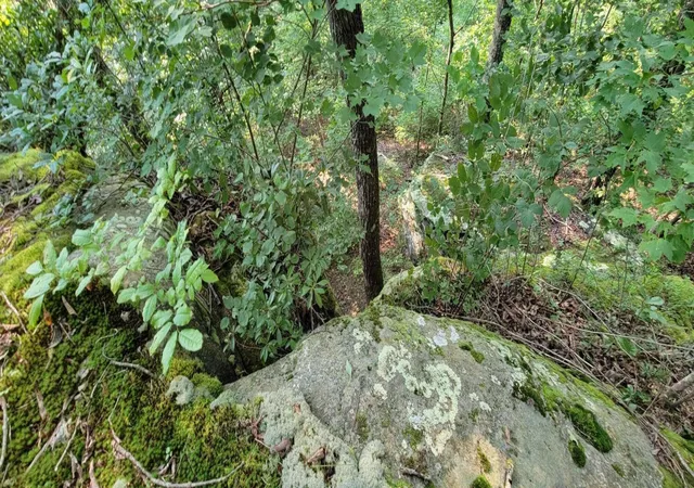 2nd image of 0 Preservation Drive, Lot 6, South Pittsburg, TN 37380 | MLS# 3318975