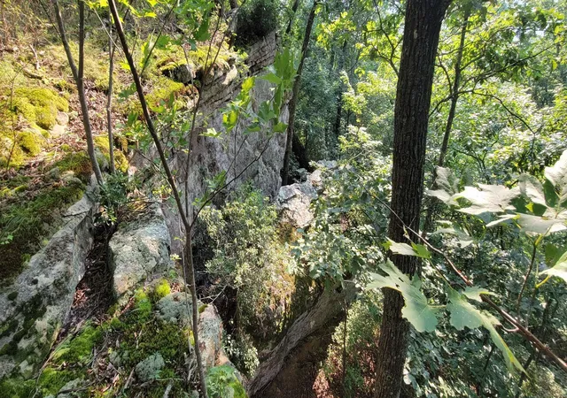 3rd image of 0 Preservation Drive, Lot 6, South Pittsburg, TN 37380 | MLS# 3318975