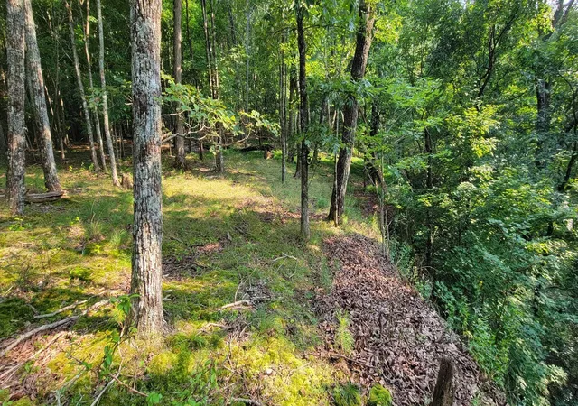 4th image of 0 Preservation Drive, Lot 6, South Pittsburg, TN 37380 | MLS# 3318975
