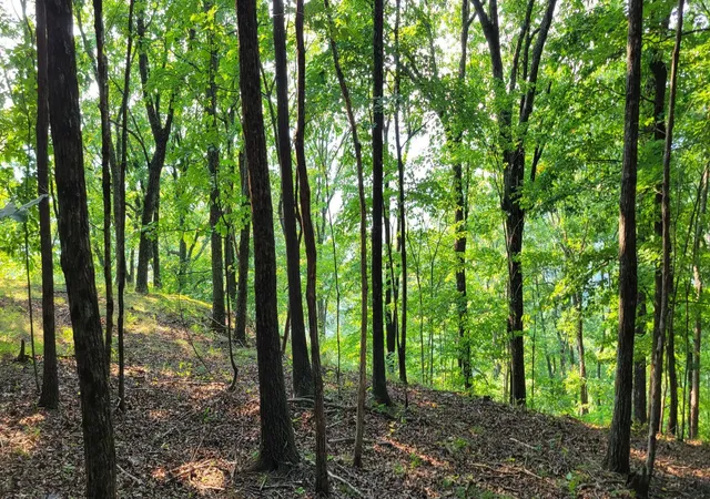 5th image of 0 Preservation Drive, Lot 6, South Pittsburg, TN 37380 | MLS# 3318975
