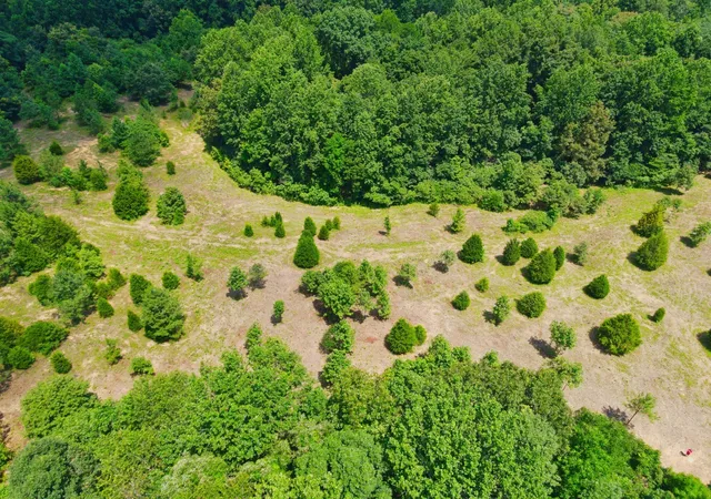 12th image of 4200 Shiloh Canaan Rd, Palmyra, TN 37142 | MLS# 3319113