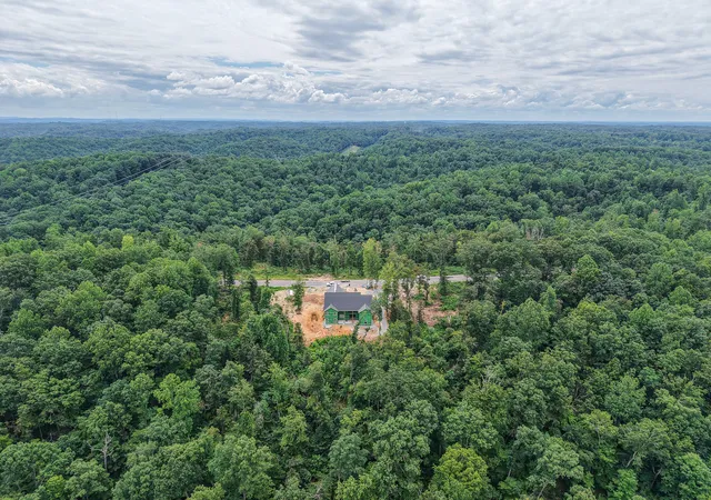 4th image of 349 Fallingtimber Dr, Pegram, TN 37143 | MLS# 3335961
