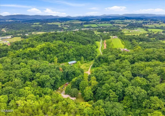 40th image of 255 Midnight Way, Parrottsville, TN 37843 | MLS# 3319302