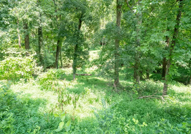 30th image of 980 Vanderbilt Rd, Mount Juliet, TN 37122 | MLS# 3501363