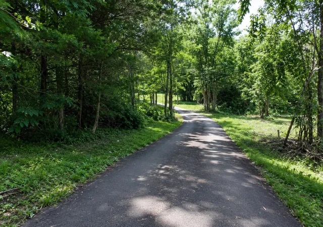 3rd image of 180 Lake Hollow Rd, Woodbury, TN 37190 | MLS# 3319814