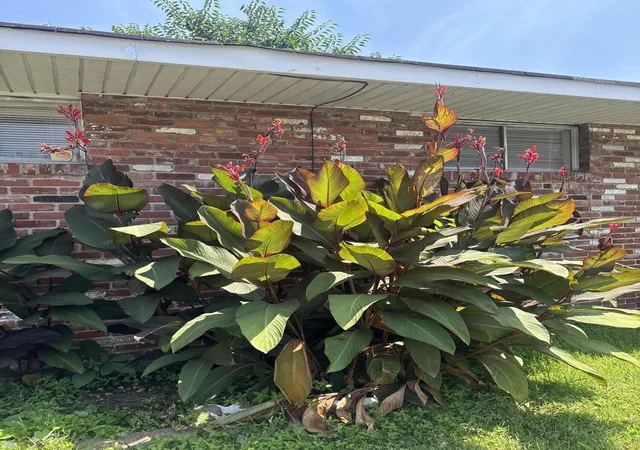 3rd image of 2001 Wilson Street, Chattanooga, TN 37406 | MLS# 3319819