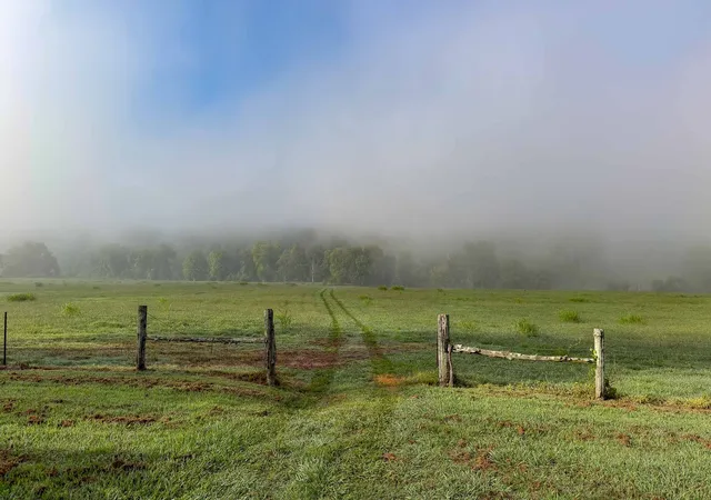 4th image of 1545 Cedar Hill Rd, Kingston Springs, TN 37082 | MLS# 3319989
