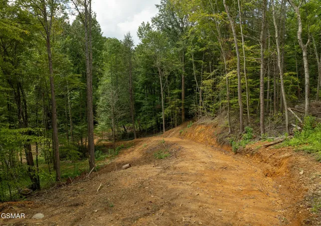 26th image of 56 Ardell Way, Cosby, TN 37722 | MLS# 3319878