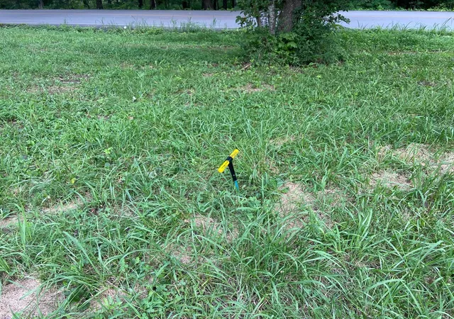 Photo 3 of Land for sale at 45 Ramsey Rd, Lebanon, TN 37087 | MLS# 3320542 | Listing updated on 2026-09-19