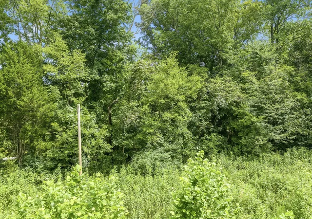 31st image of 0 Utley Road, Camden, TN 38320 | MLS# 3500935