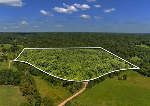 Single family home for sale at 5114 Tennessee Ridge Rd, Waverly, TN 37185 | MLS# 3529736