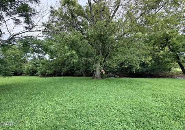 2nd image of 675 Catnip Road, Del Rio, TN 37727 | MLS# 3320271