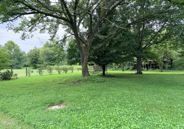 37th image of 675 Catnip Road, Del Rio, TN 37727 | MLS# 3320271