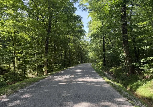 1st image of 0 Roy Thompson, Mount Pleasant, TN 38474 | MLS# 3320078