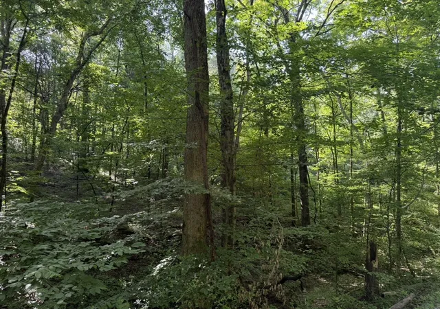 3rd image of 0 Roy Thompson, Mount Pleasant, TN 38474 | MLS# 3320078