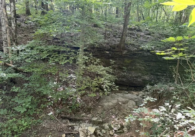 5th image of 0 Roy Thompson, Mount Pleasant, TN 38474 | MLS# 3320078