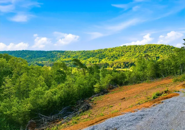 1st image of 1776 Fairview Road, Tellico Plains, TN 37385 | MLS# 3320042