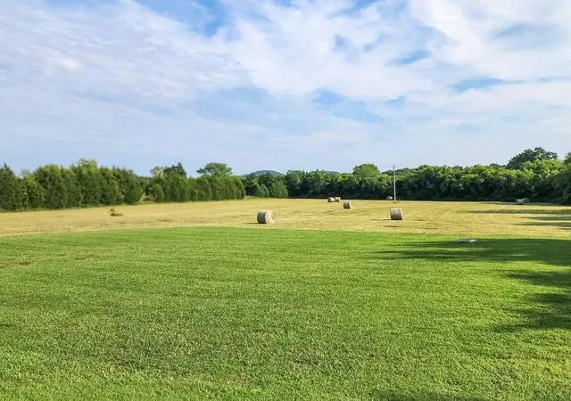 47th image of 2784 Joe Reeves Rd, Lewisburg, TN 37091 | MLS# 3320119