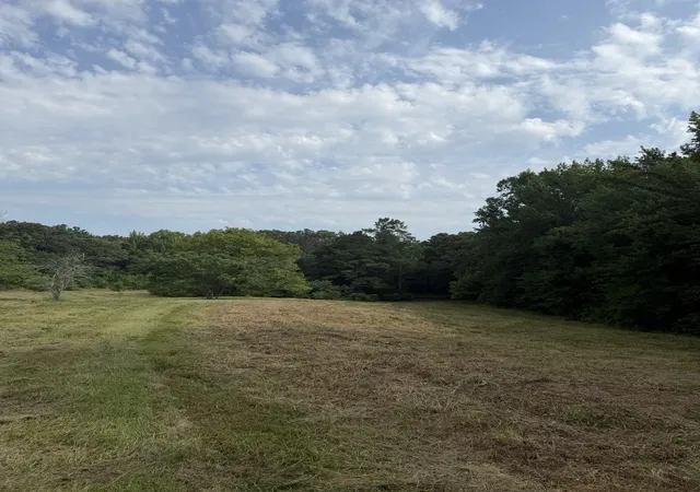 2nd image of 1756 Crazy Doe Rd, Lexington, TN 38351 | MLS# 3320101