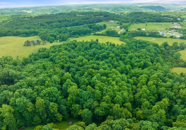 9th image of 0 J And K Ln, Belvidere, TN 37306 | MLS# 3514266