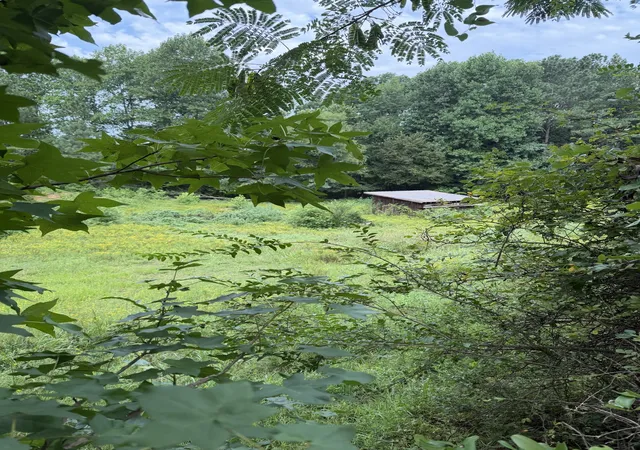 3rd image of 0 Crazy Doe Rd, Lexington, TN 38351 | MLS# 3320128