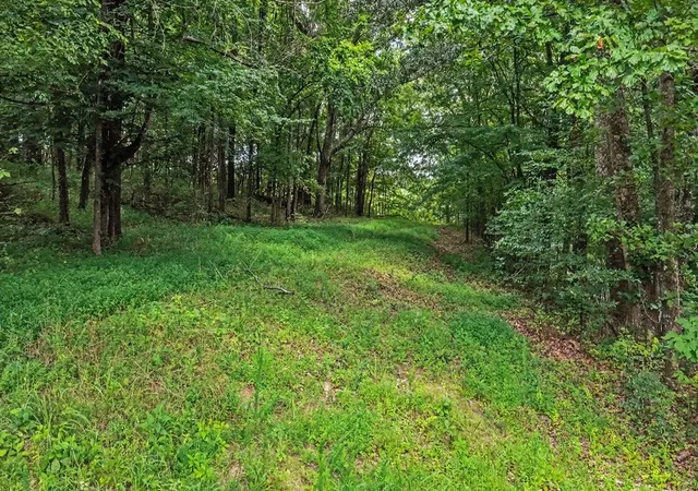 17th image of 973 Coyote Ridge Rd, Cadiz, KY 42211 | MLS# 3320683