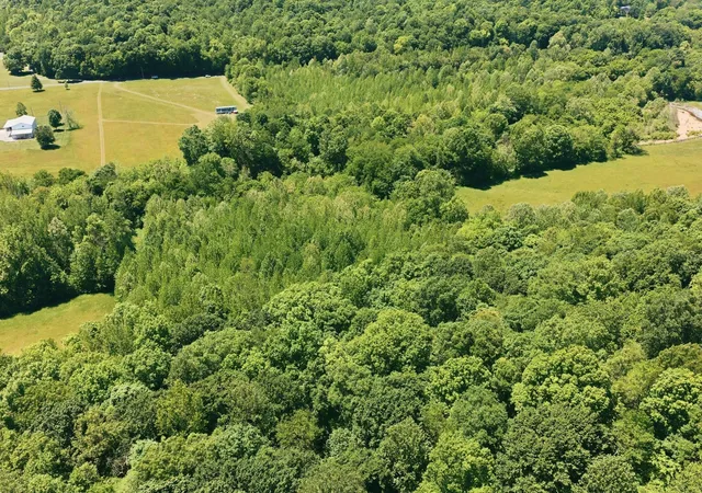 Photo 3 of Land for sale at 0 Carr Branch Ln, Bethpage, TN 37022 | MLS# 3320147 | Listing updated on 2026-08-24