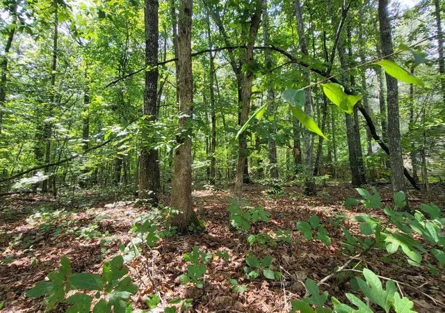 4th image of 0 Carr Branch Lane, Bethpage, TN 37022 | MLS# 3320147