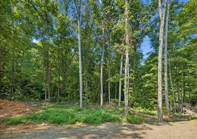 73rd image of 148 Laurel Furnace Road, White Bluff, TN 37187 | MLS# 3510406