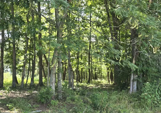2nd image of 0 Nashville Hwy, Lewisburg, TN 37091 | MLS# 3320214