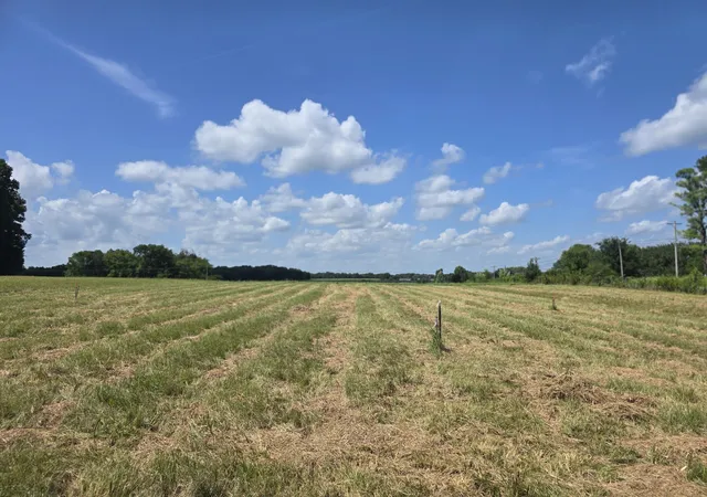 5th image of 0 Nashville Hwy, Lewisburg, TN 37091 | MLS# 3320214