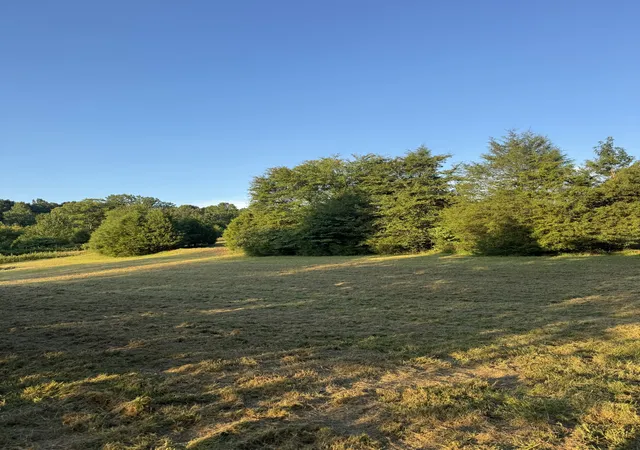 2nd image of 2204 Fairfield Rd, Westmoreland, TN 37186 | MLS# 3335324