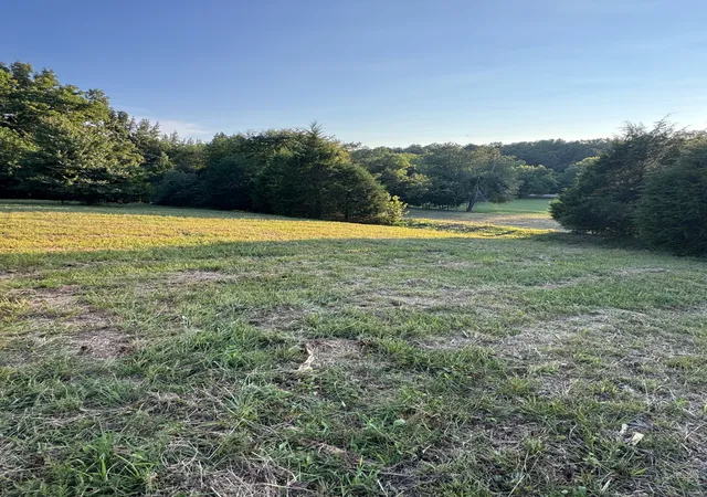 3rd image of 2204 Fairfield Rd, Westmoreland, TN 37186 | MLS# 3335324
