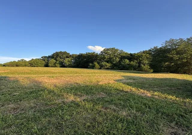 5th image of 2204 Fairfield Rd, Westmoreland, TN 37186 | MLS# 3335324