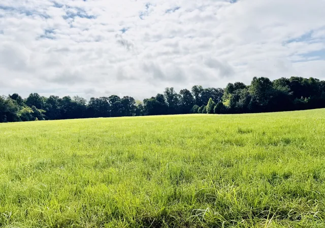 1st image of 0 Sweet Springs Rd, Kelso, TN 37348 | MLS# 3335927