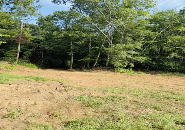 2nd image of 0 Sweet Springs Rd, Kelso, TN 37348 | MLS# 3335927