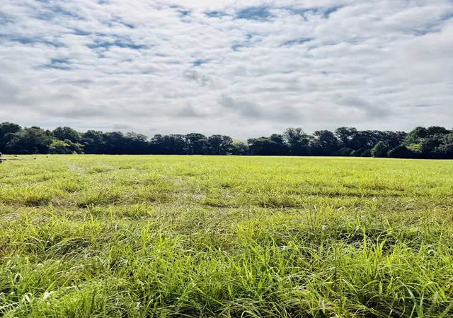 3rd image of 0 Sweet Springs Rd, Kelso, TN 37348 | MLS# 3335927