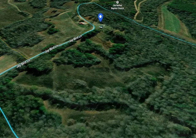 55th image of 631 Jay Bird Ln, Palmersville, TN 38241 | MLS# 3320903