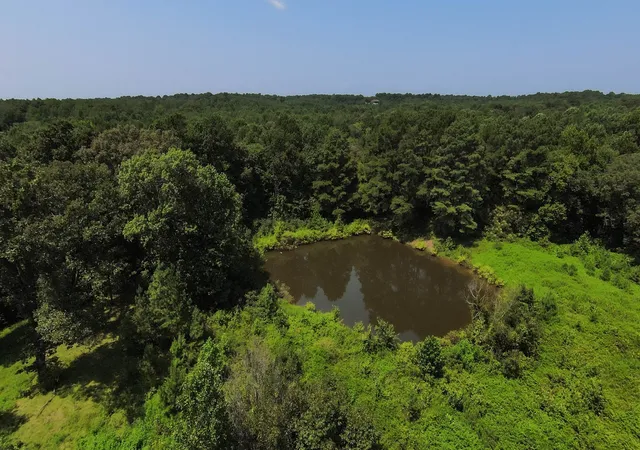 2nd image of 631 Jay Bird Ln, Palmersville, TN 38241 | MLS# 3320903