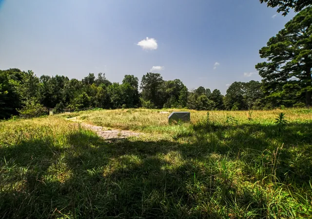 3rd image of 631 Jay Bird Ln, Palmersville, TN 38241 | MLS# 3320903