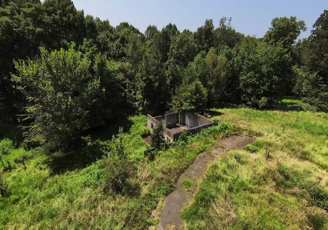 4th image of 631 Jay Bird Ln, Palmersville, TN 38241 | MLS# 3320903