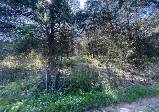 21st image of 59 Scanty Branch Rd, Dixon Springs, TN 37057 | MLS# 3392693
