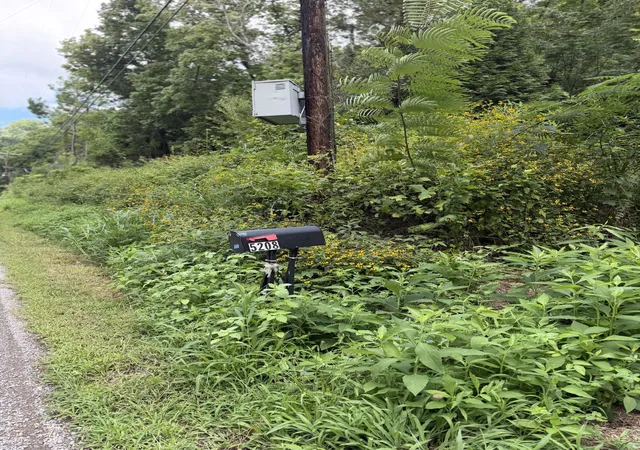2nd image of 5208 Little Marrowbone Rd, Ashland City, TN 37015 | MLS# 3320516