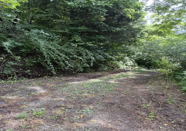 5th image of 5208 Little Marrowbone Rd, Ashland City, TN 37015 | MLS# 3320516