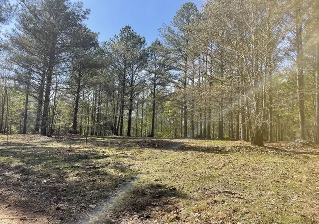 1st image of 1001 Bj Rd, Centerville, TN 37033 | MLS# 3333685